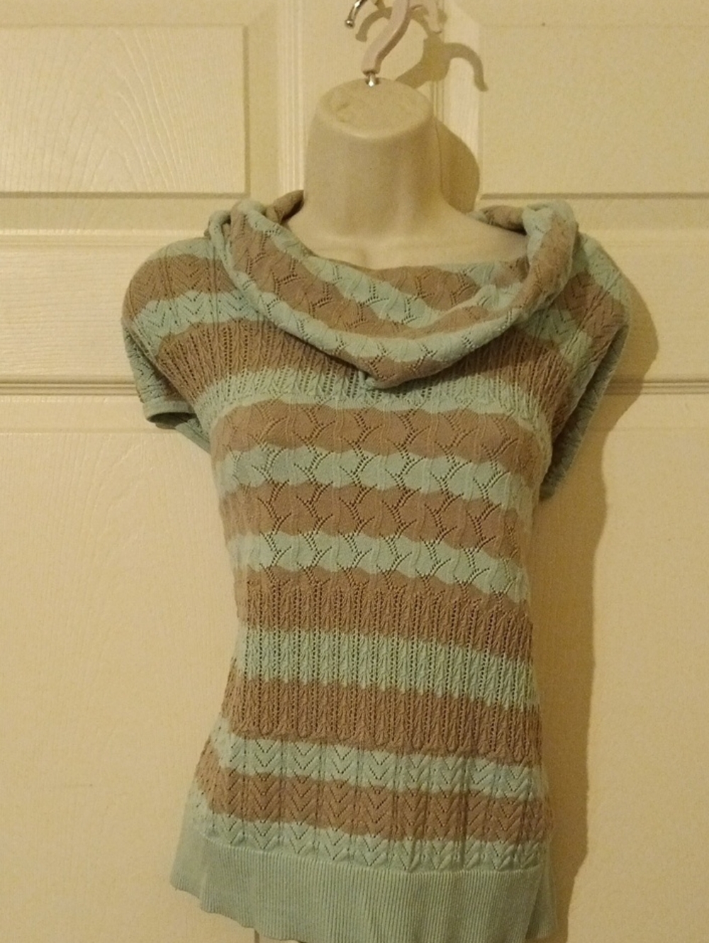 The Limited Striped Cowl Neck Short Sleeve Sweater in Mint and Taupe